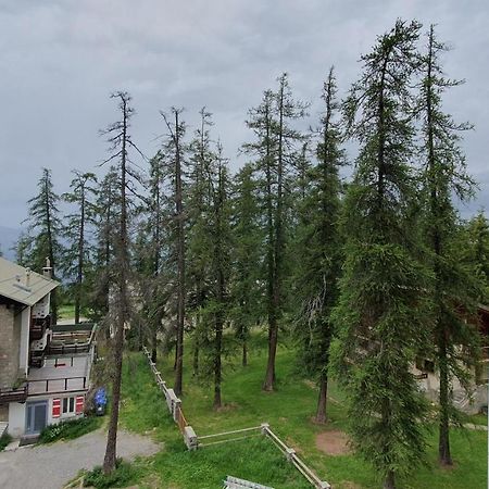 Studio Centre Et Pied Des Pistes Валбер Екстериор снимка